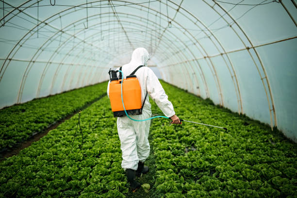 Best Best Pest Control Near Me  in Keowee Key, SC