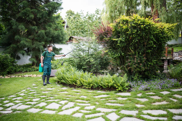 Best Residential Pest Control  in Keowee Key, SC