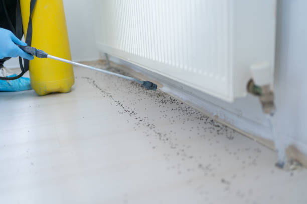 Professional Pest Control in Keowee Key, SC