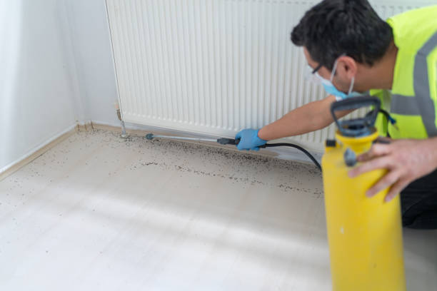 Best Pest Control Treatment  in Keowee Key, SC