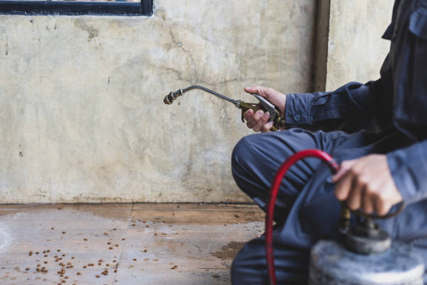 Best Local Pest Control Services  in Keowee Key, SC